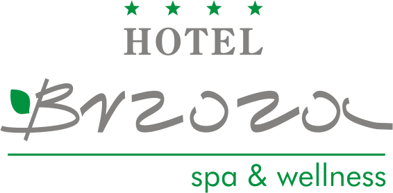 Hotel Brzoza